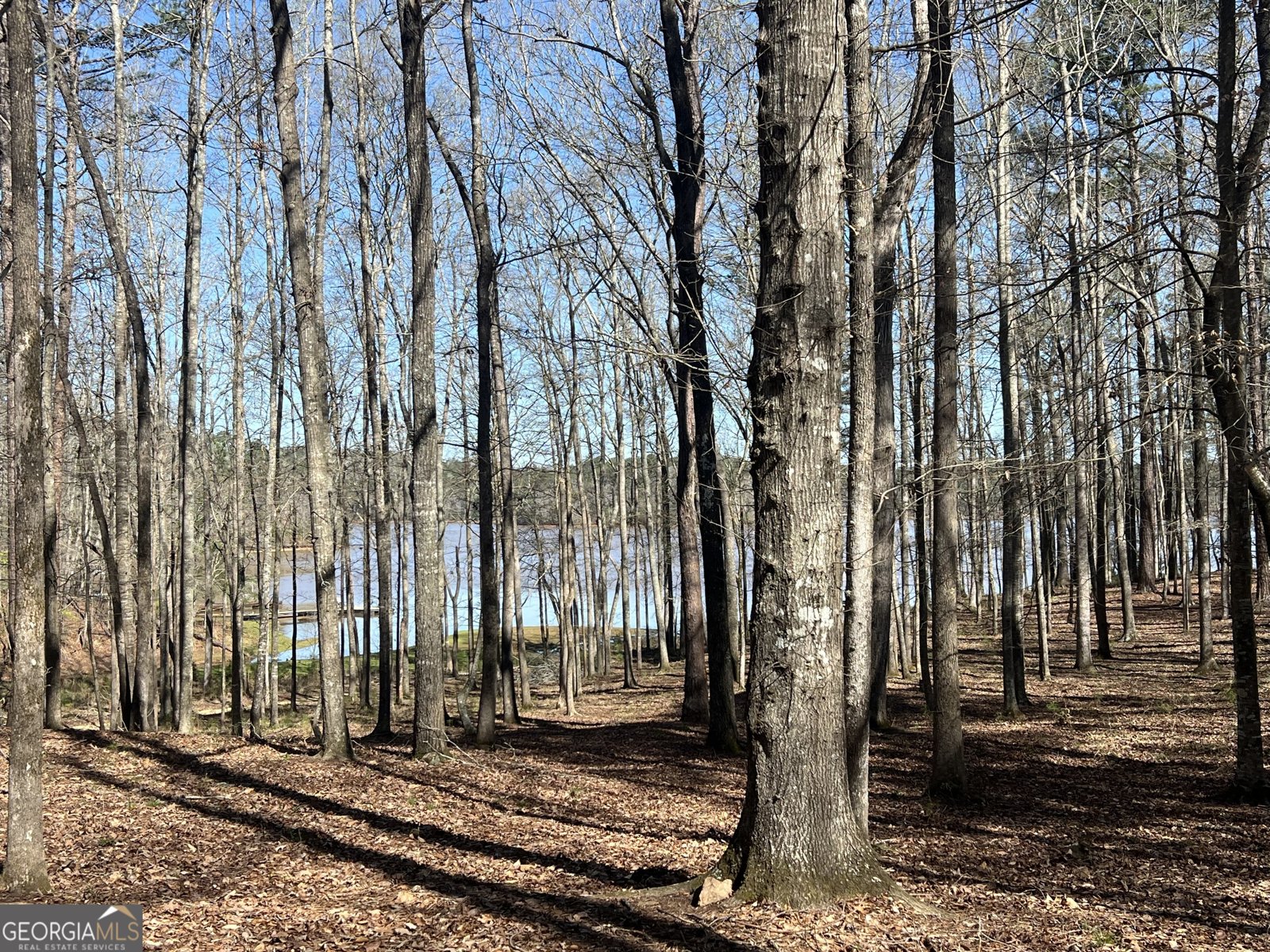 209 River Oaks Drive Lagrange - Photo 74