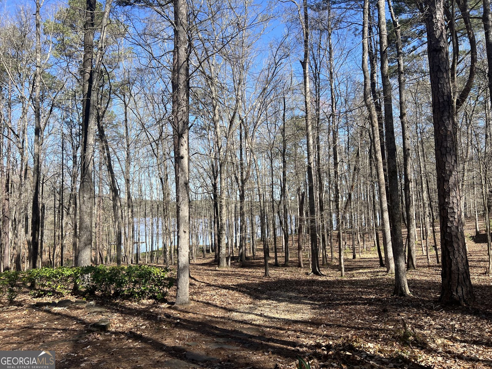 209 River Oaks Drive Lagrange - Photo 75