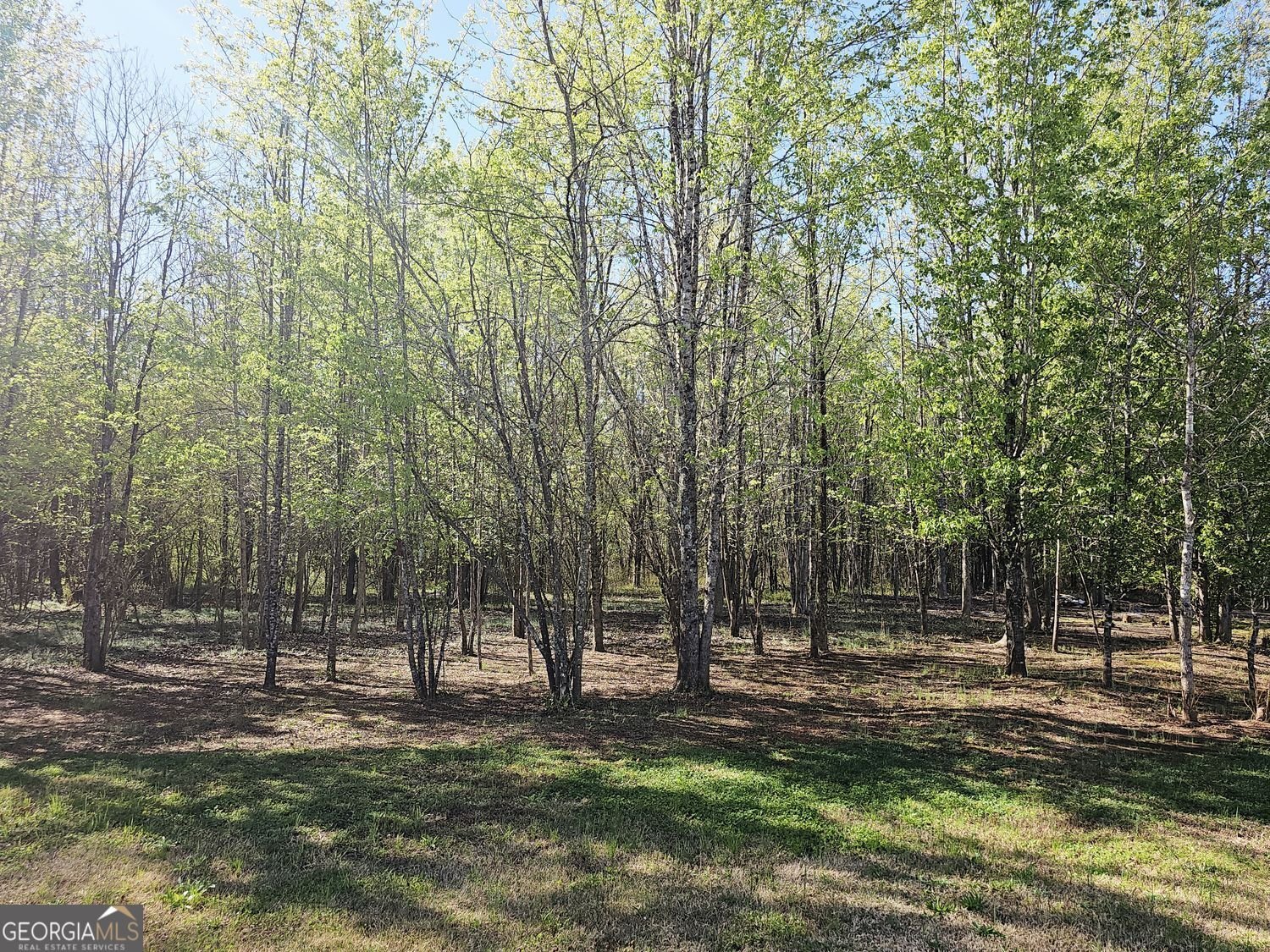 1148 Burgundy Drive Griffin - Photo 15