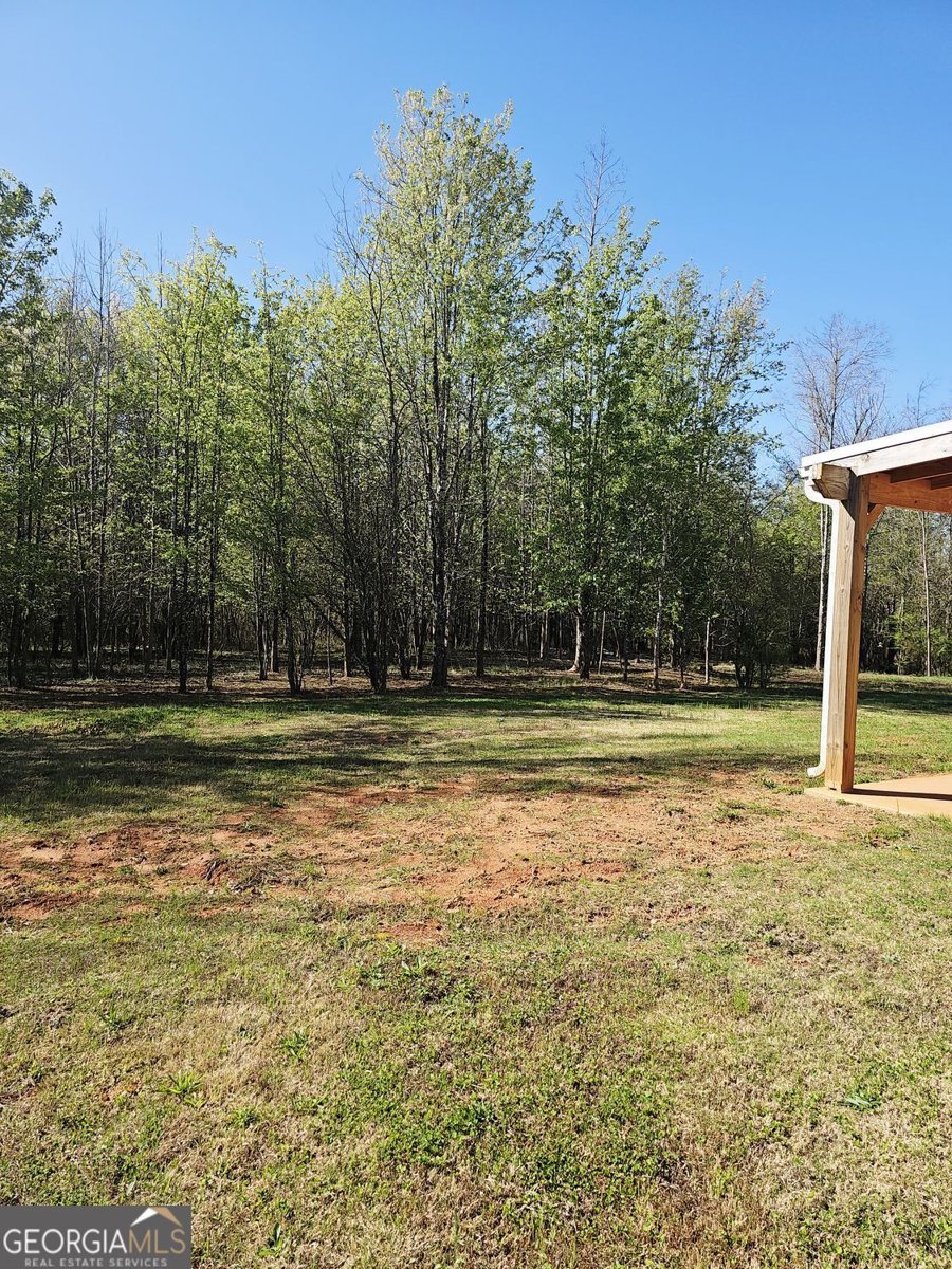 1148 Burgundy Drive Griffin - Photo 19