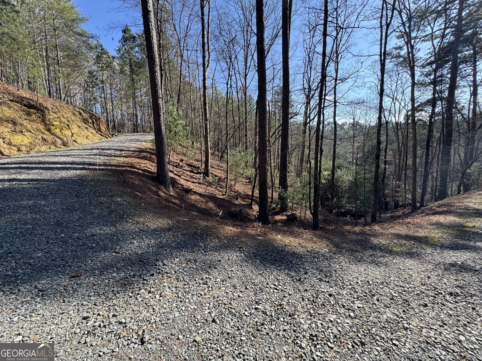 135 Hale Court Ellijay - Photo 47