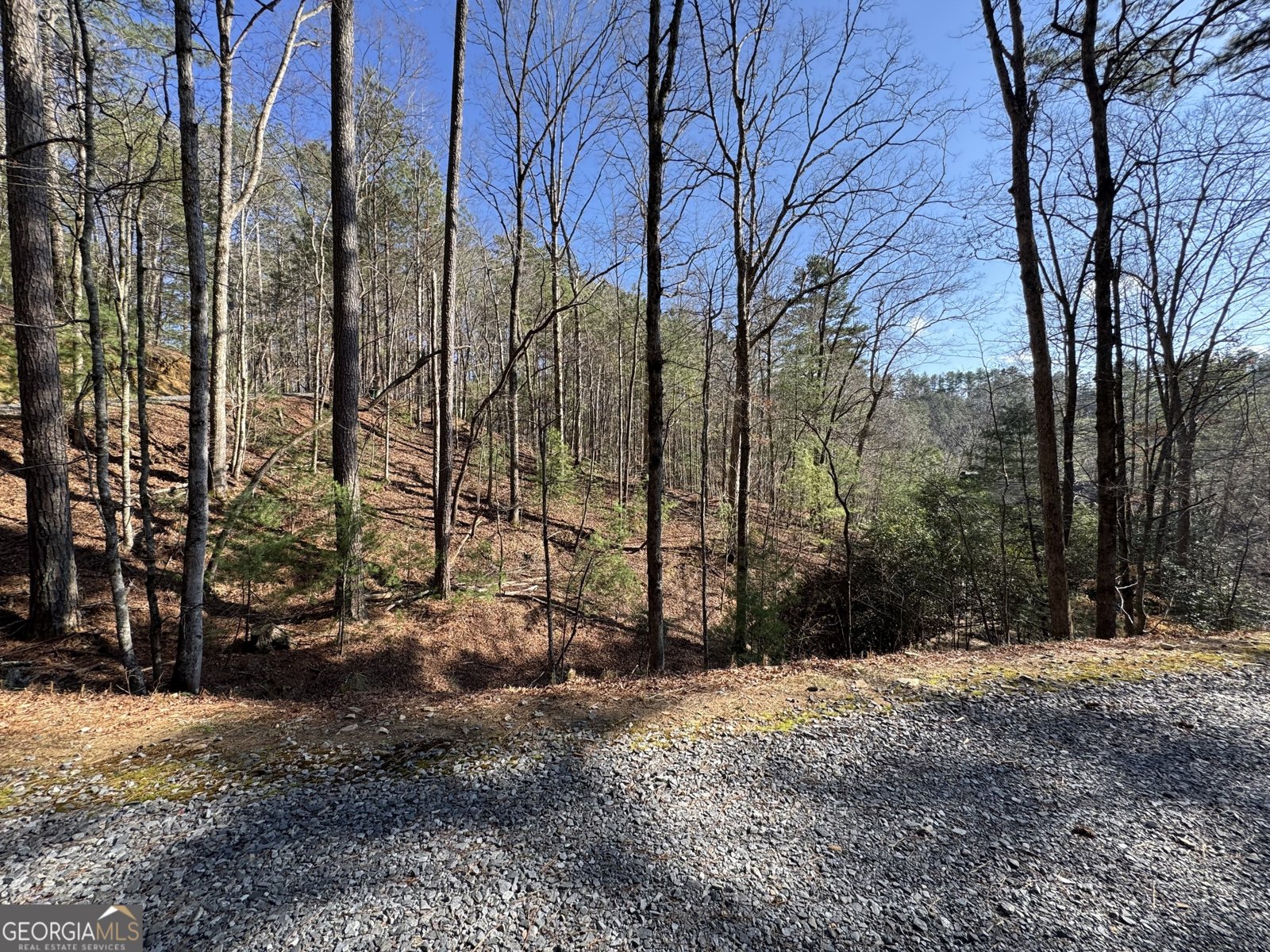 135 Hale Court Ellijay - Photo 48