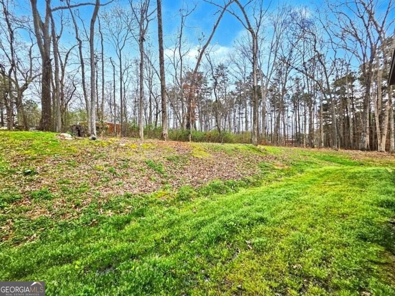 453 Mulberry Rock Road Temple - Photo 28