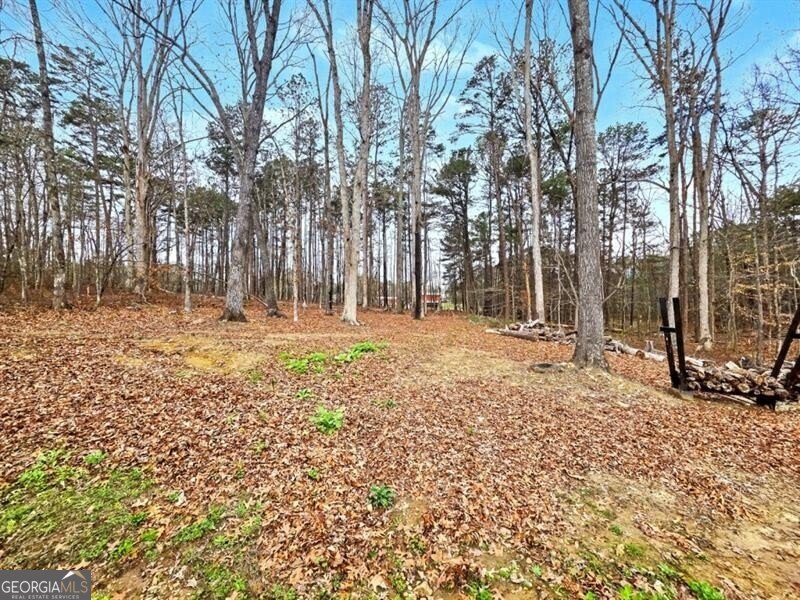 453 Mulberry Rock Road Temple - Photo 31