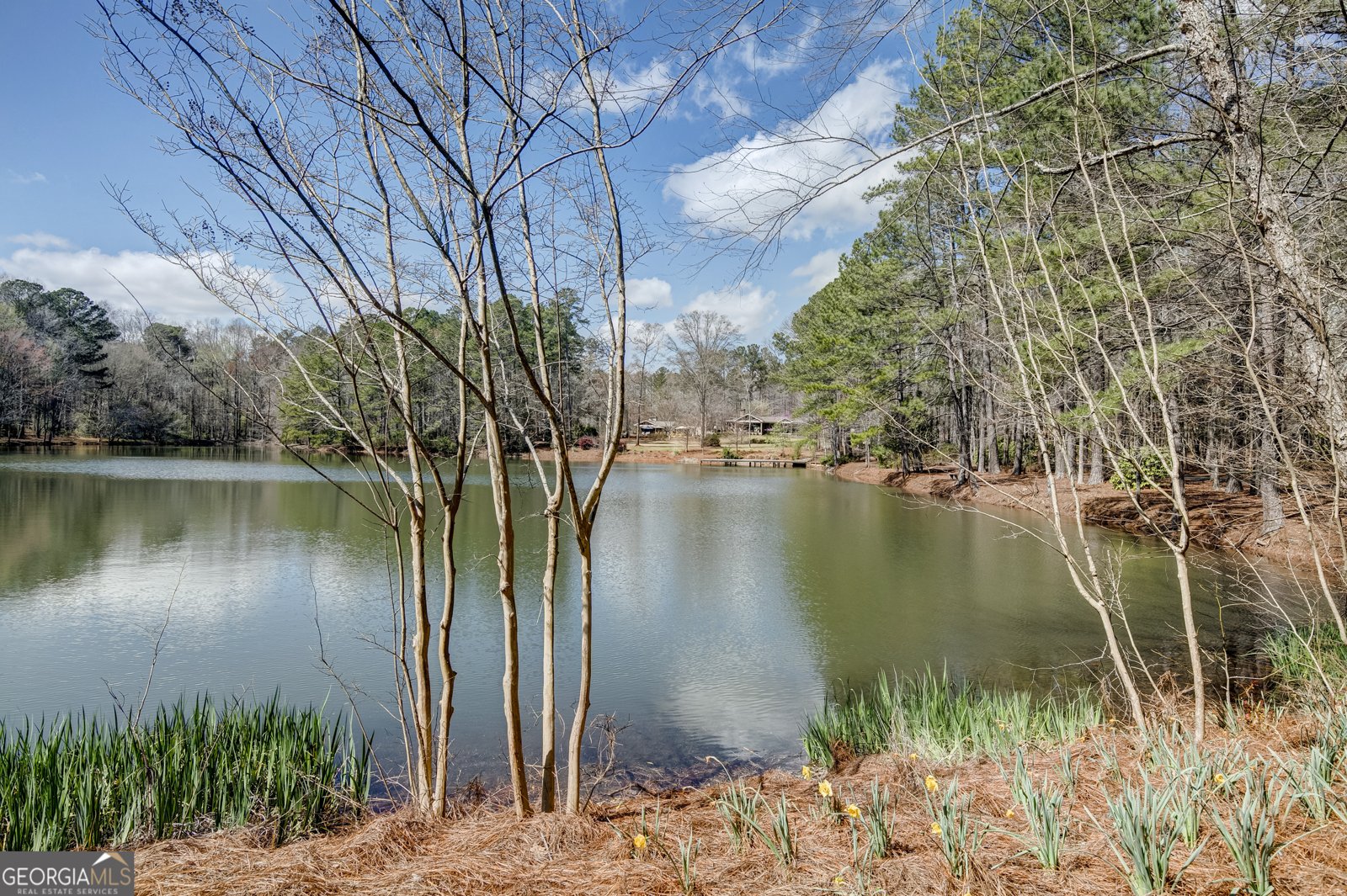 223 Rising Star Road Fayetteville - Photo 142