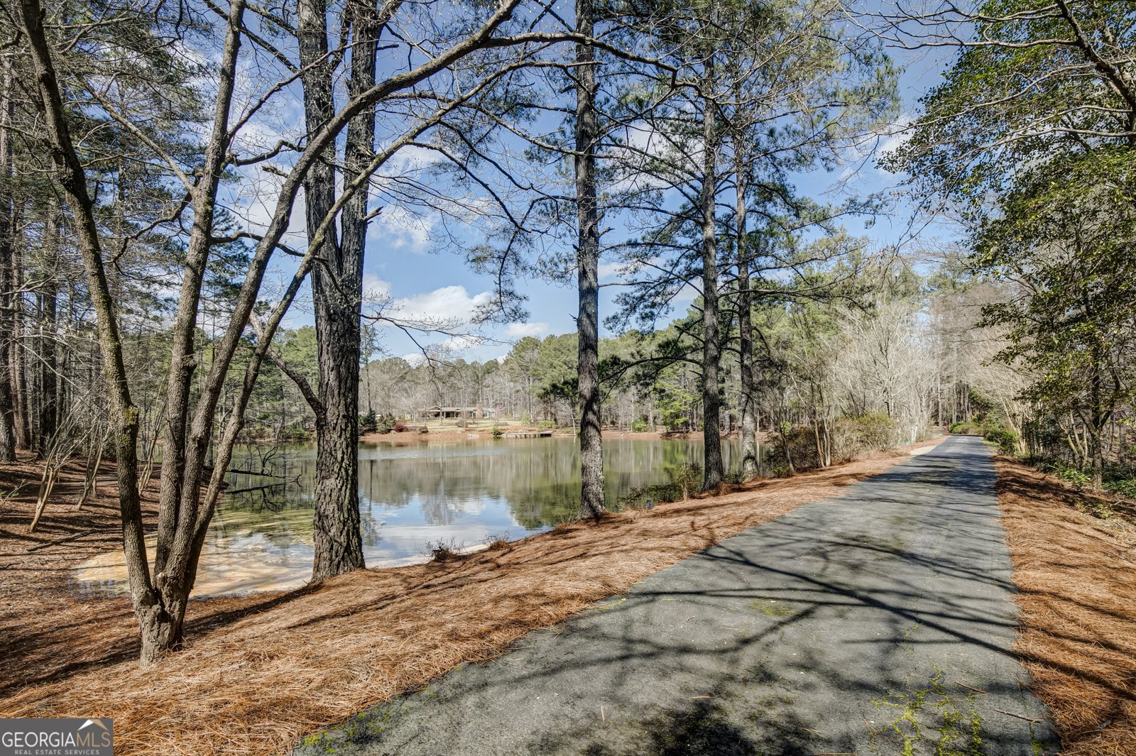 223 Rising Star Road Fayetteville - Photo 143