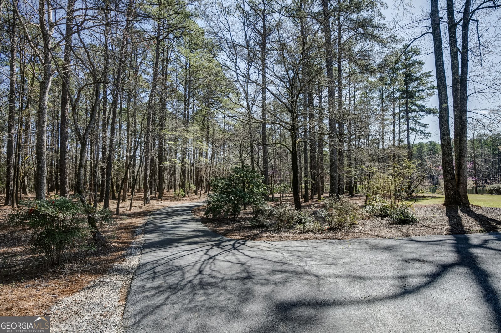 223 Rising Star Road Fayetteville - Photo 159