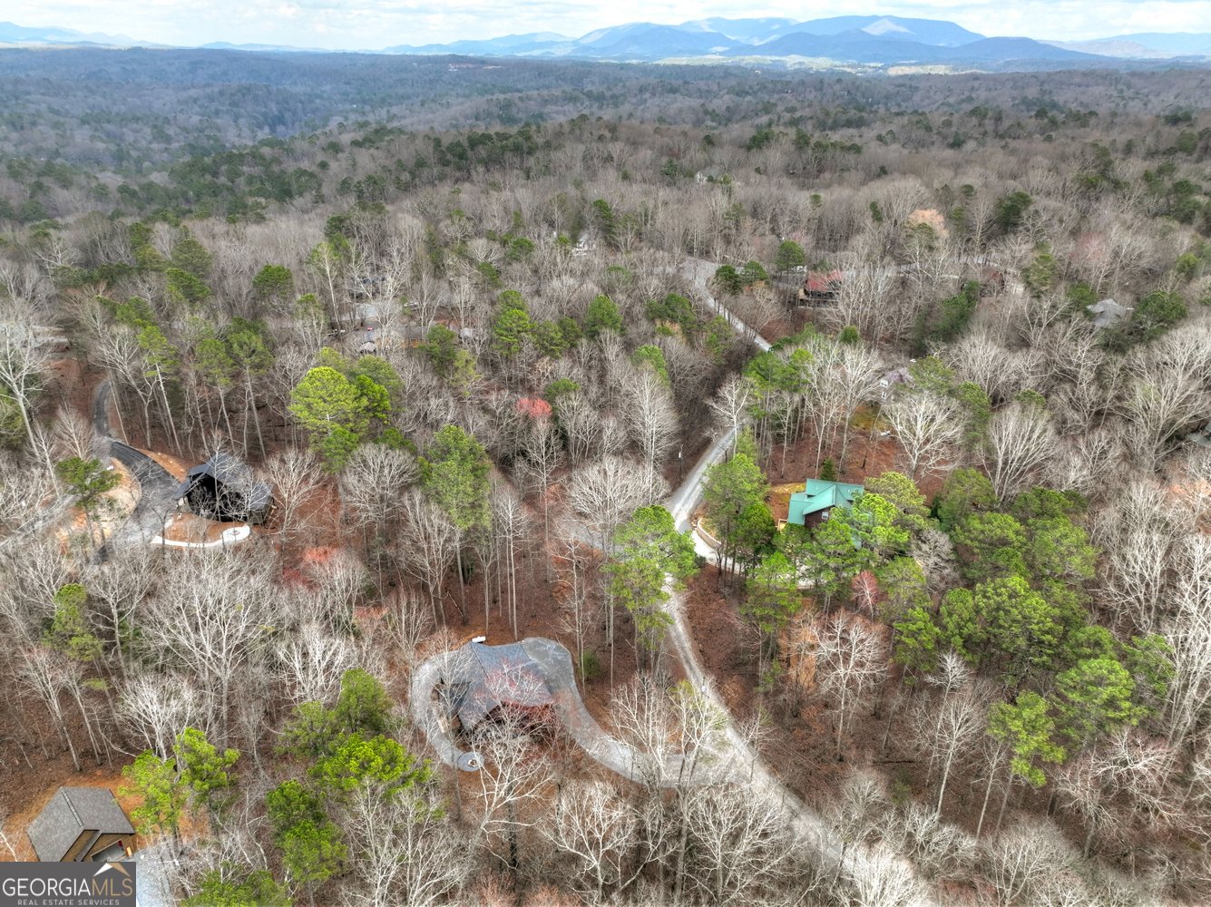 723 Parody Circle Ellijay - Photo 39
