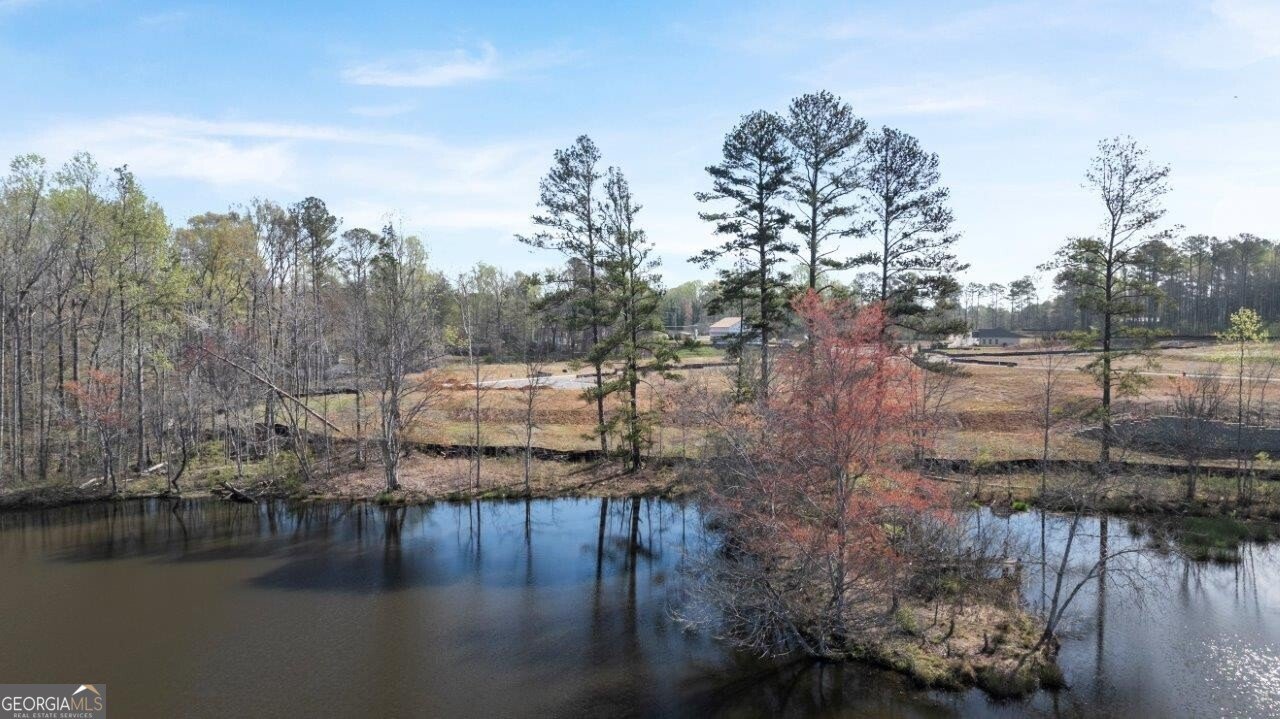 2632 Indigo Road Lithia Springs - Photo 35