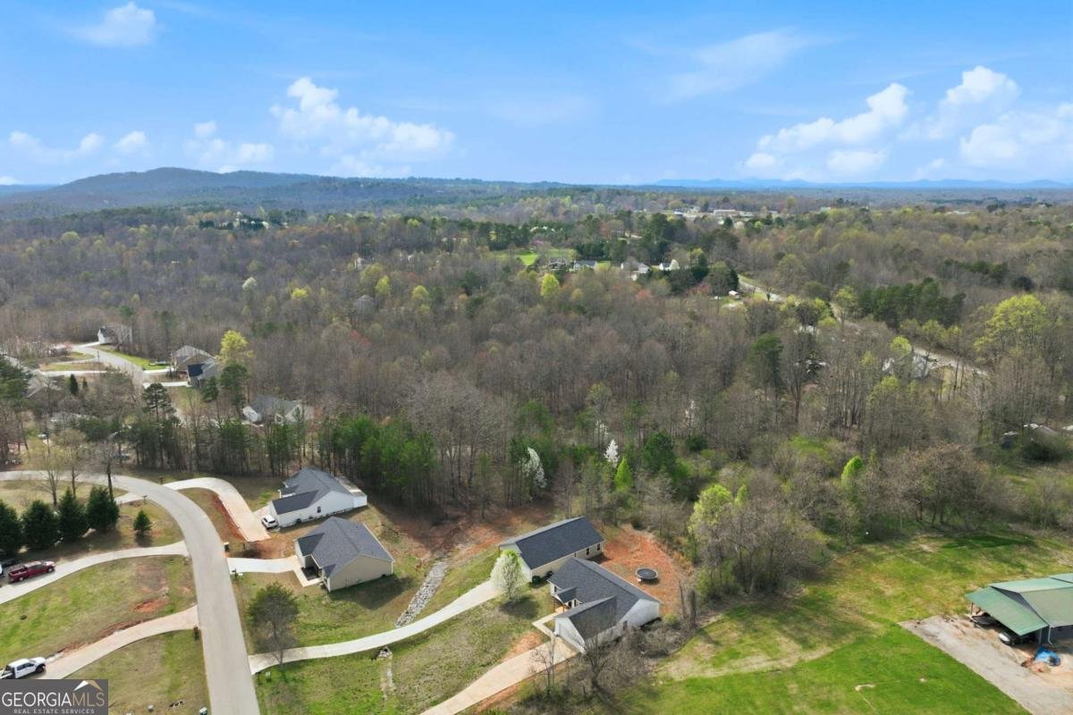 550 Cypress Drive Mount Airy - Photo 29