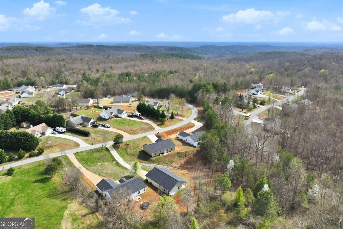 550 Cypress Drive Mount Airy - Photo 30