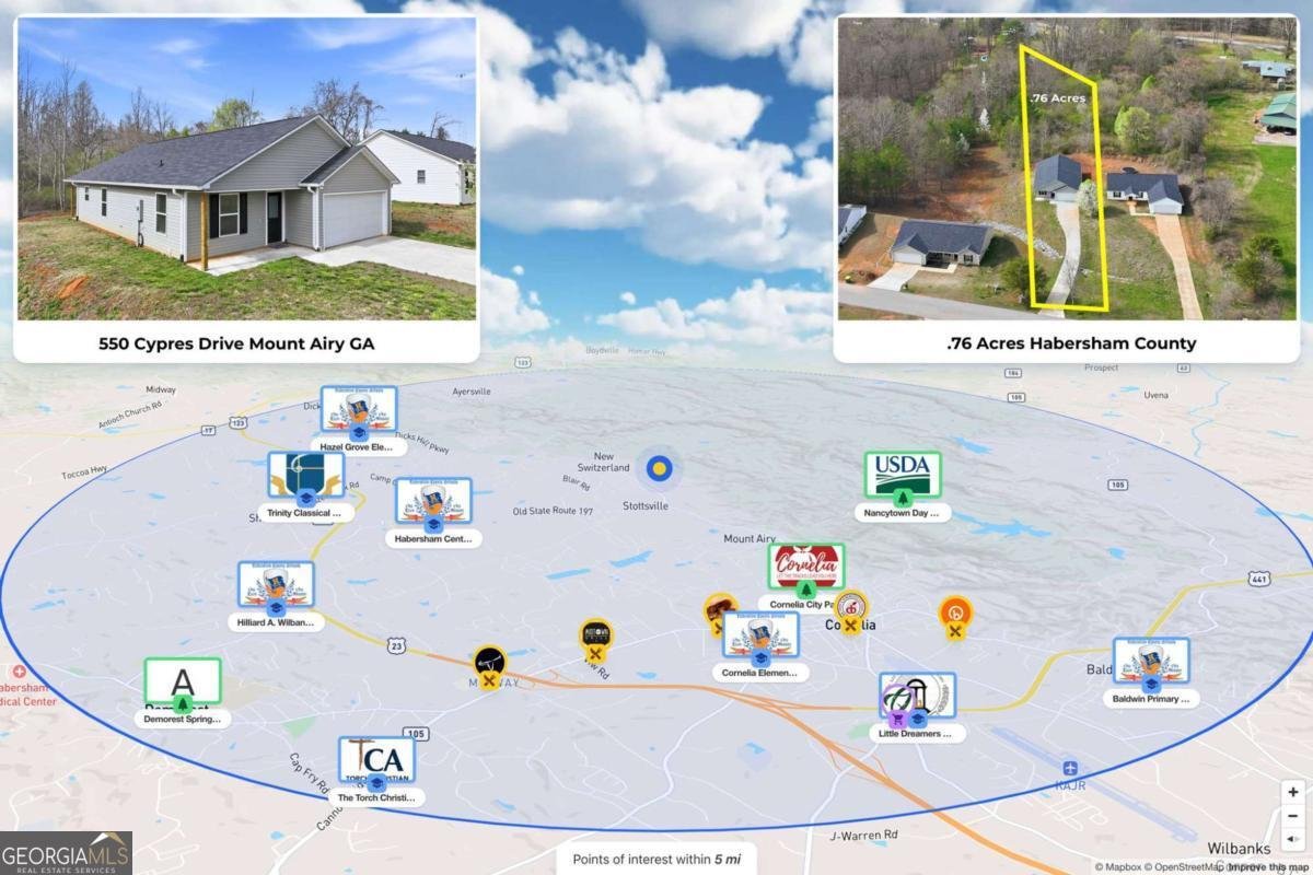 550 Cypress Drive Mount Airy - Photo 32