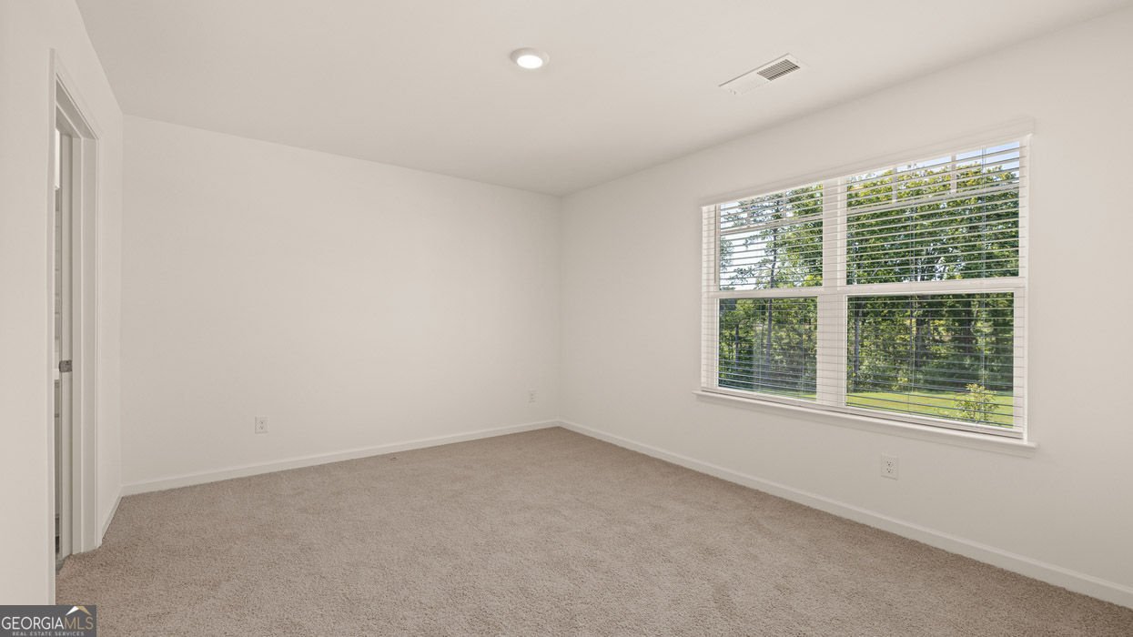 3009 Champions Way Loganville - Photo 52