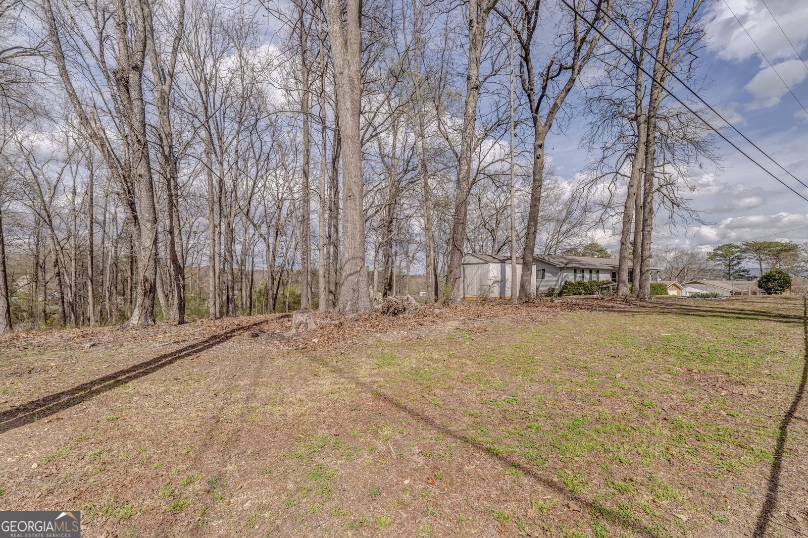 52 Dogwood Drive Trion - Photo 27