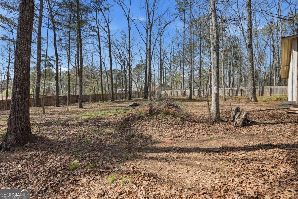 216 Forest Cove Court Dawsonville - Photo 38