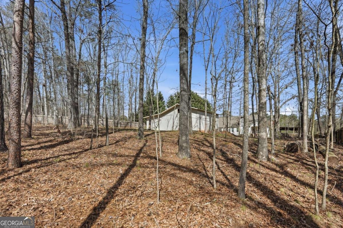 216 Forest Cove Court Dawsonville - Photo 40