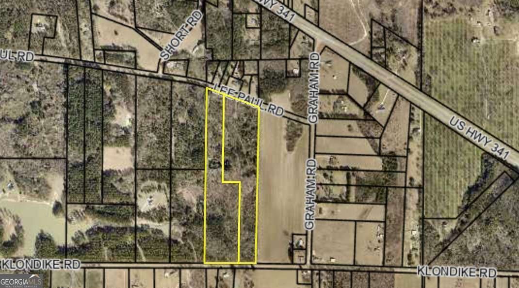 250 Lee Paul Road Hawkinsville - Photo 39