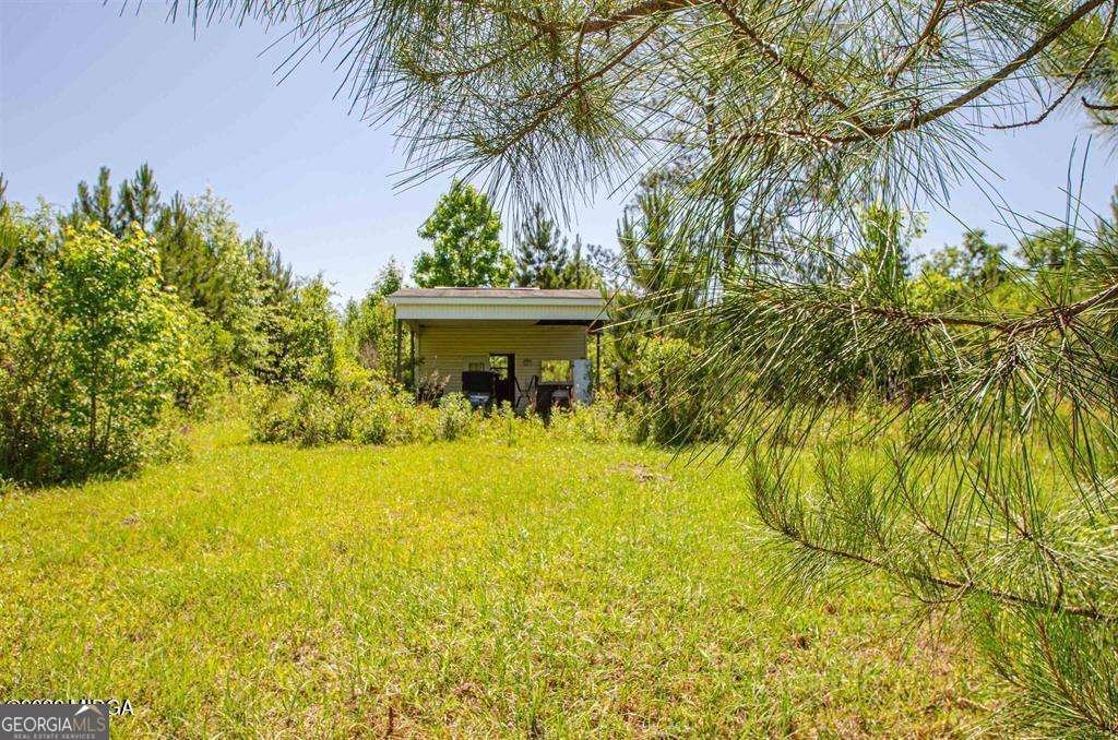 250 Lee Paul Road Hawkinsville - Photo 40