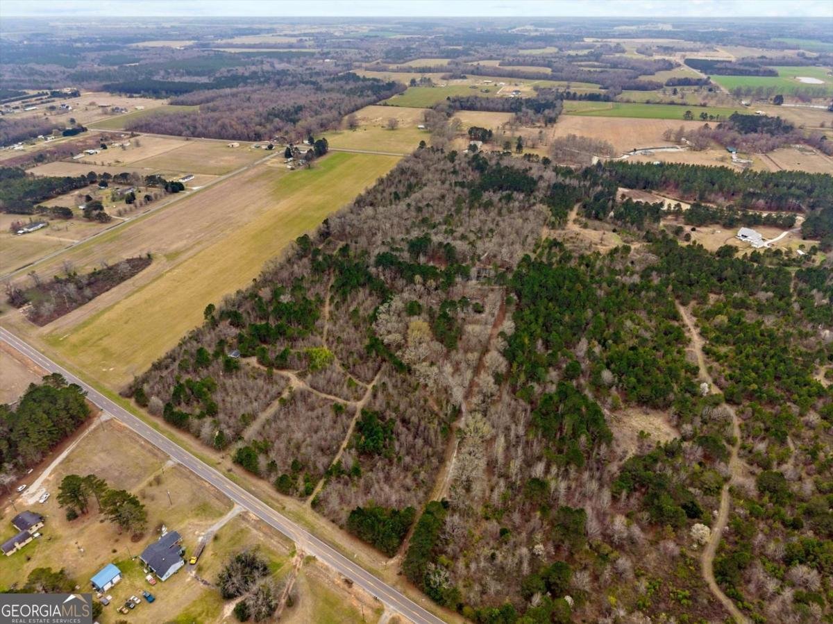 250 Lee Paul Road Hawkinsville - Photo 41