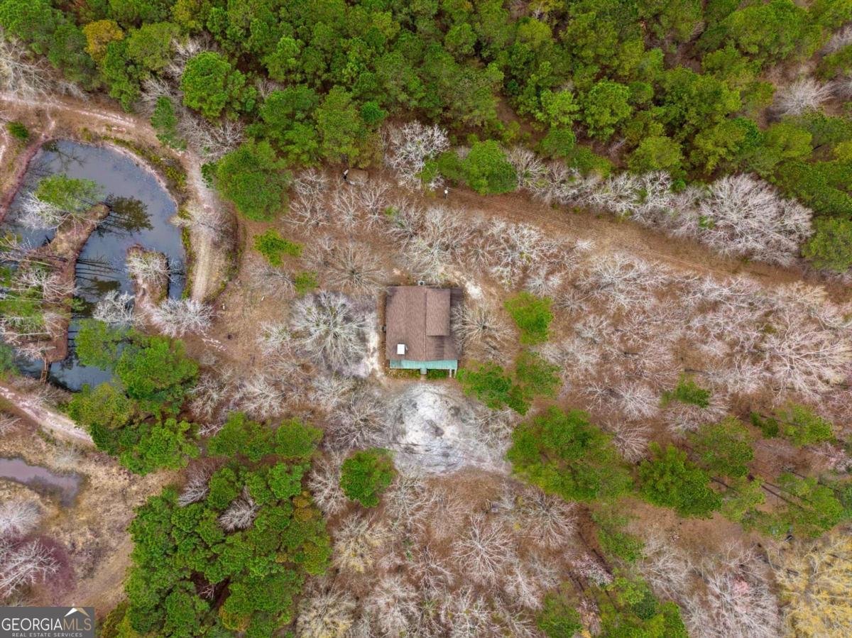 250 Lee Paul Road Hawkinsville - Photo 42