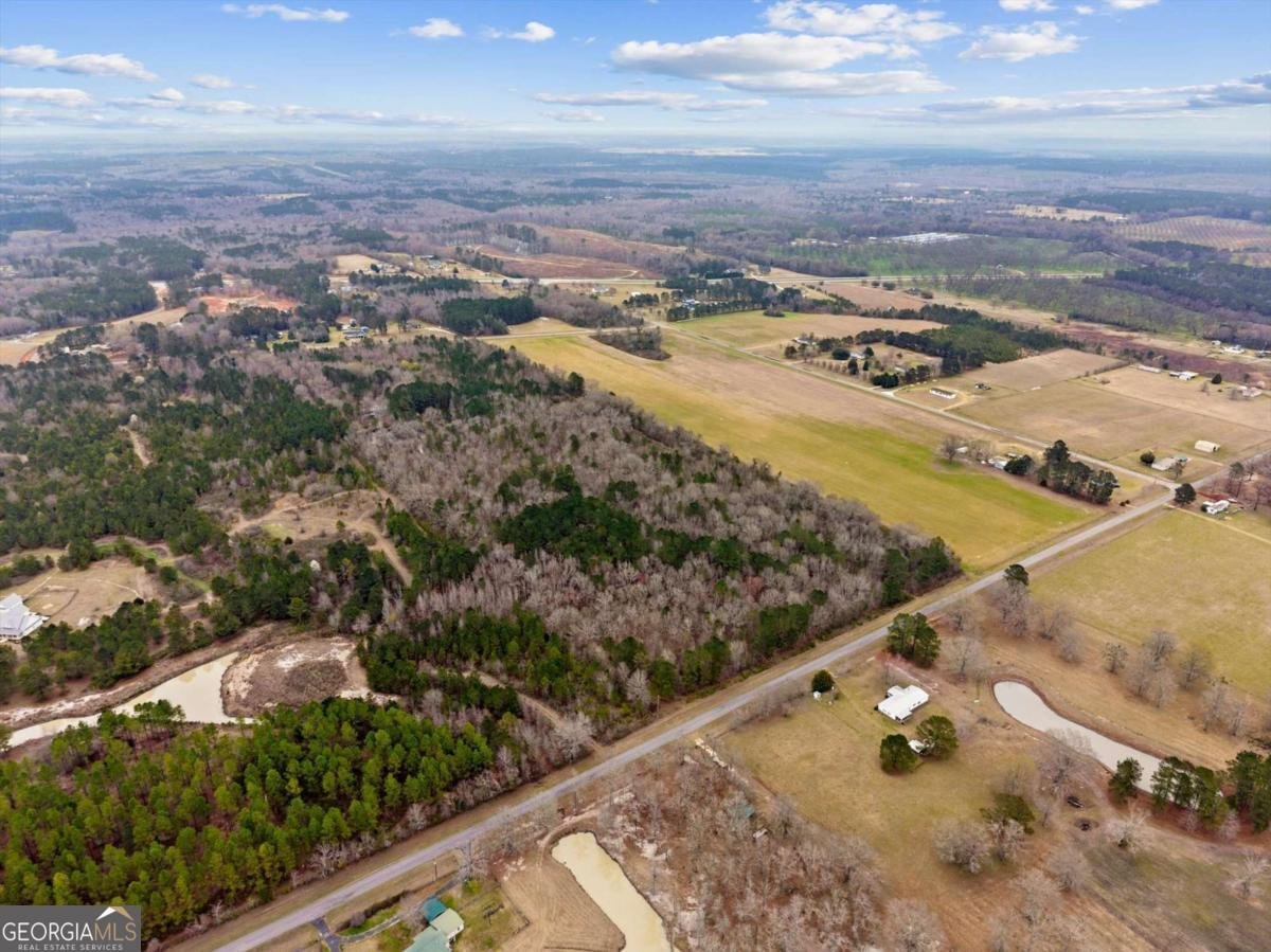 250 Lee Paul Road Hawkinsville - Photo 44