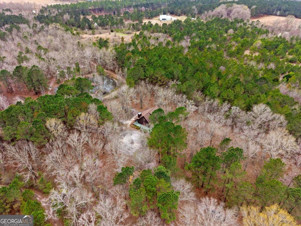 250 Lee Paul Road Hawkinsville - Photo 46