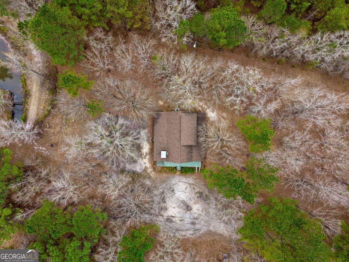 250 Lee Paul Road Hawkinsville - Photo 50