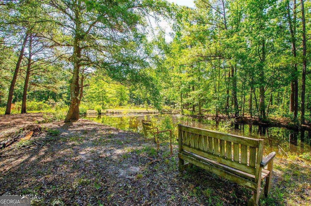 250 Lee Paul Road Hawkinsville - Photo 51