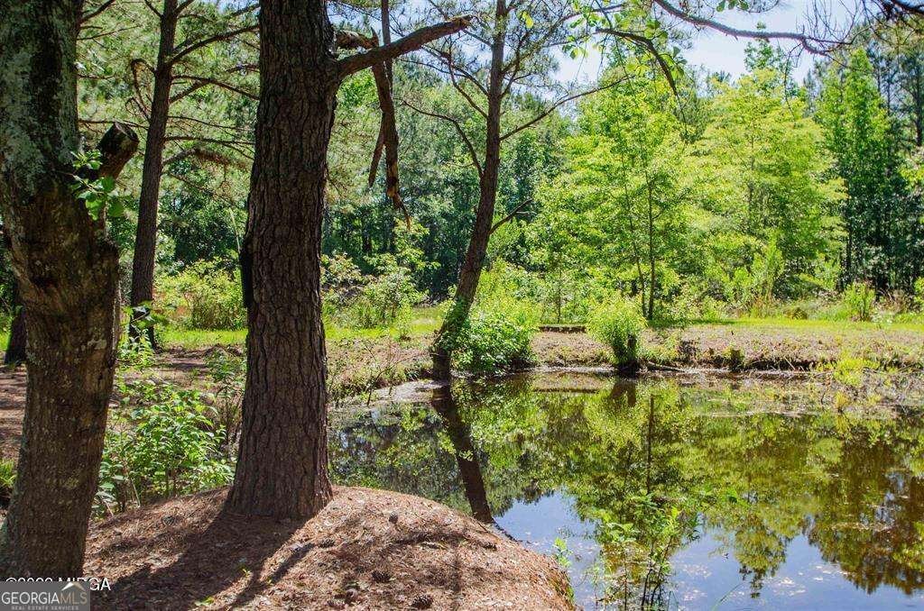 250 Lee Paul Road Hawkinsville - Photo 52