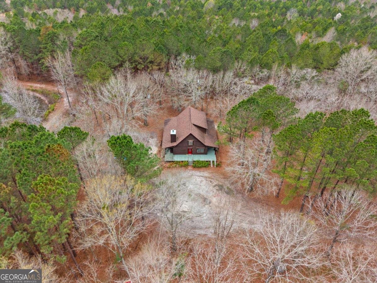 250 Lee Paul Road Hawkinsville - Photo 6