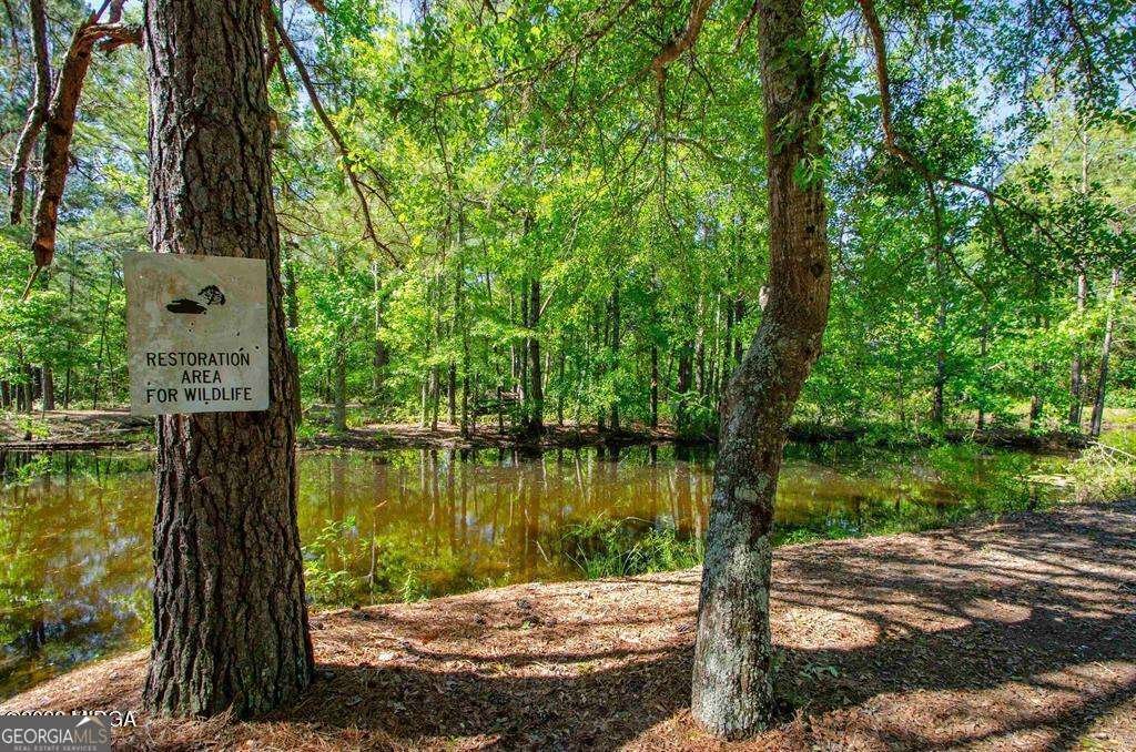 250 Lee Paul Road Hawkinsville - Photo 7