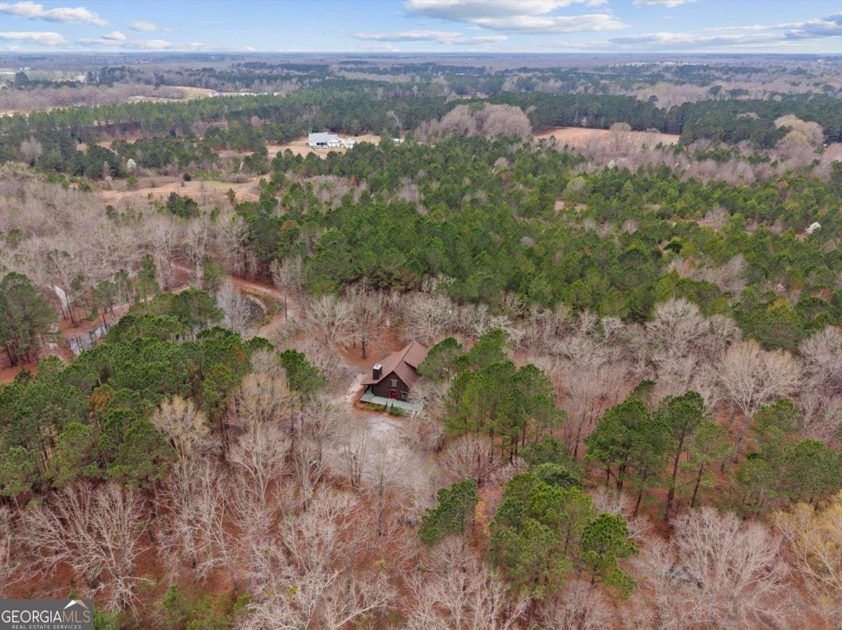 250 Lee Paul Road Hawkinsville - Photo 8