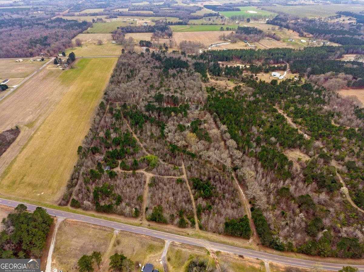 250 Lee Paul Road Hawkinsville - Photo 9
