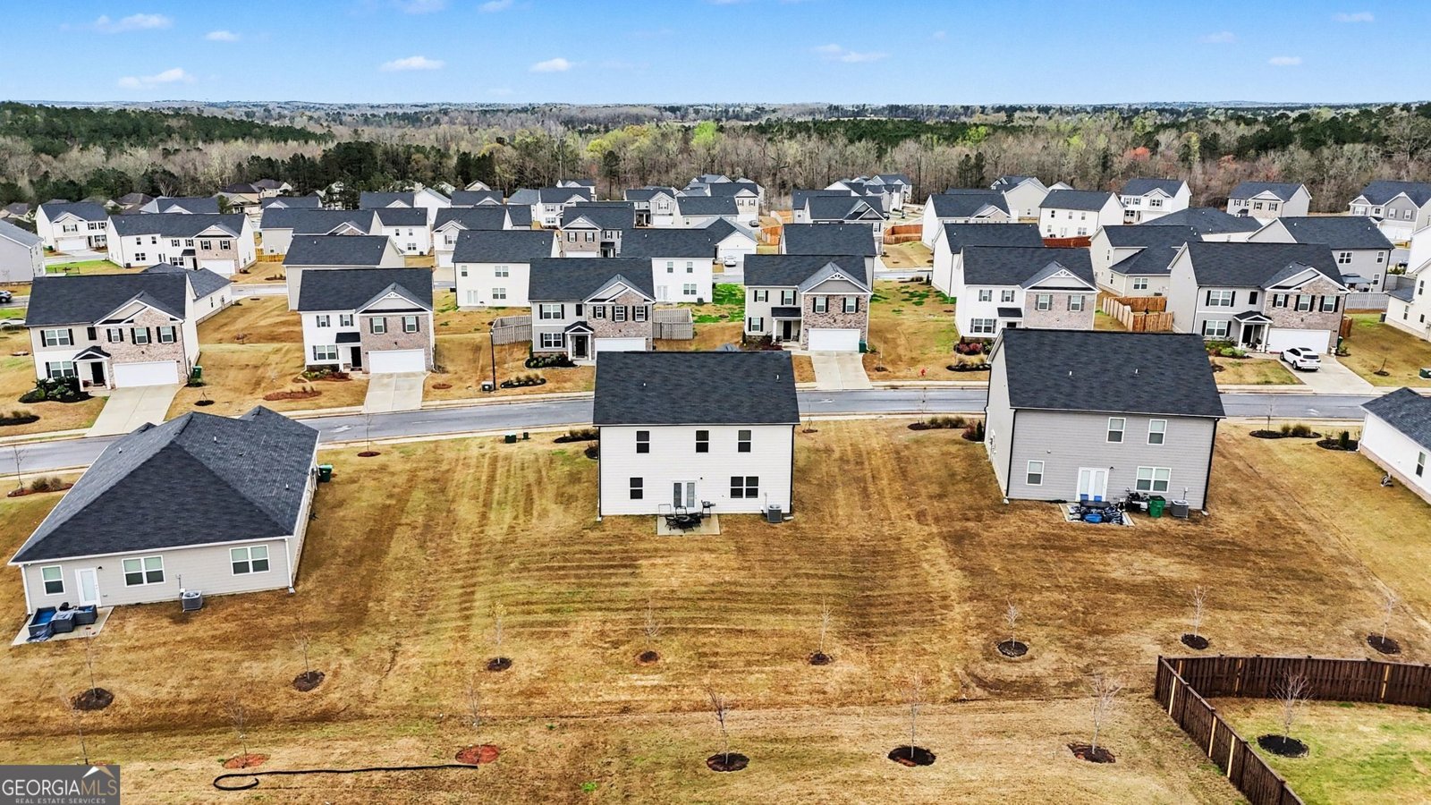 316 Arnica Drive Locust Grove - Photo 40