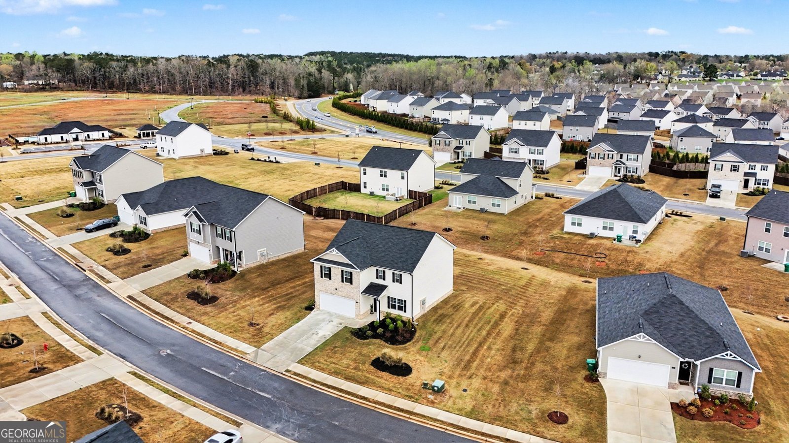 316 Arnica Drive Locust Grove - Photo 43