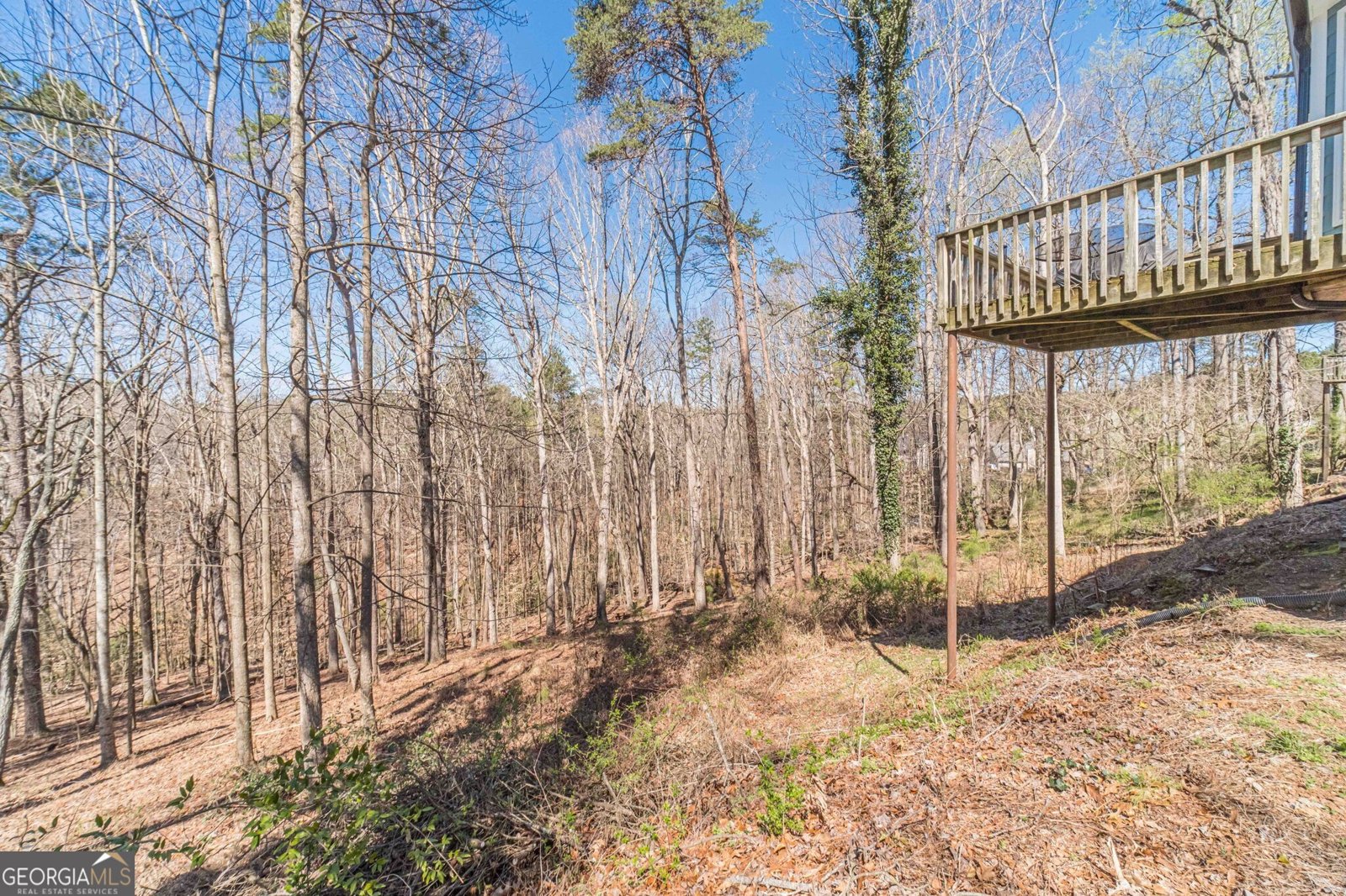 5550 Little Mill Road Buford - Photo 36