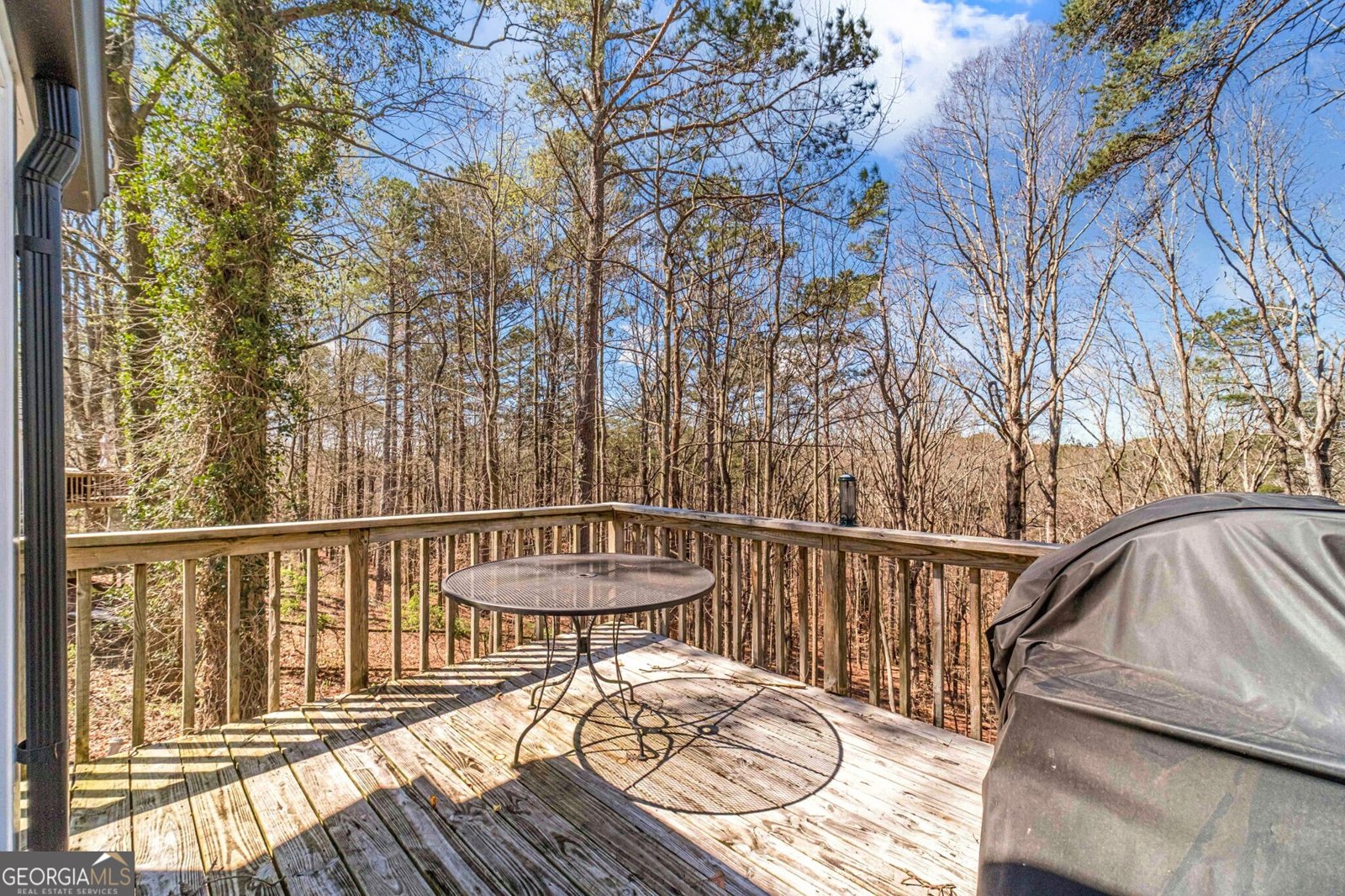 5550 Little Mill Road Buford - Photo 43