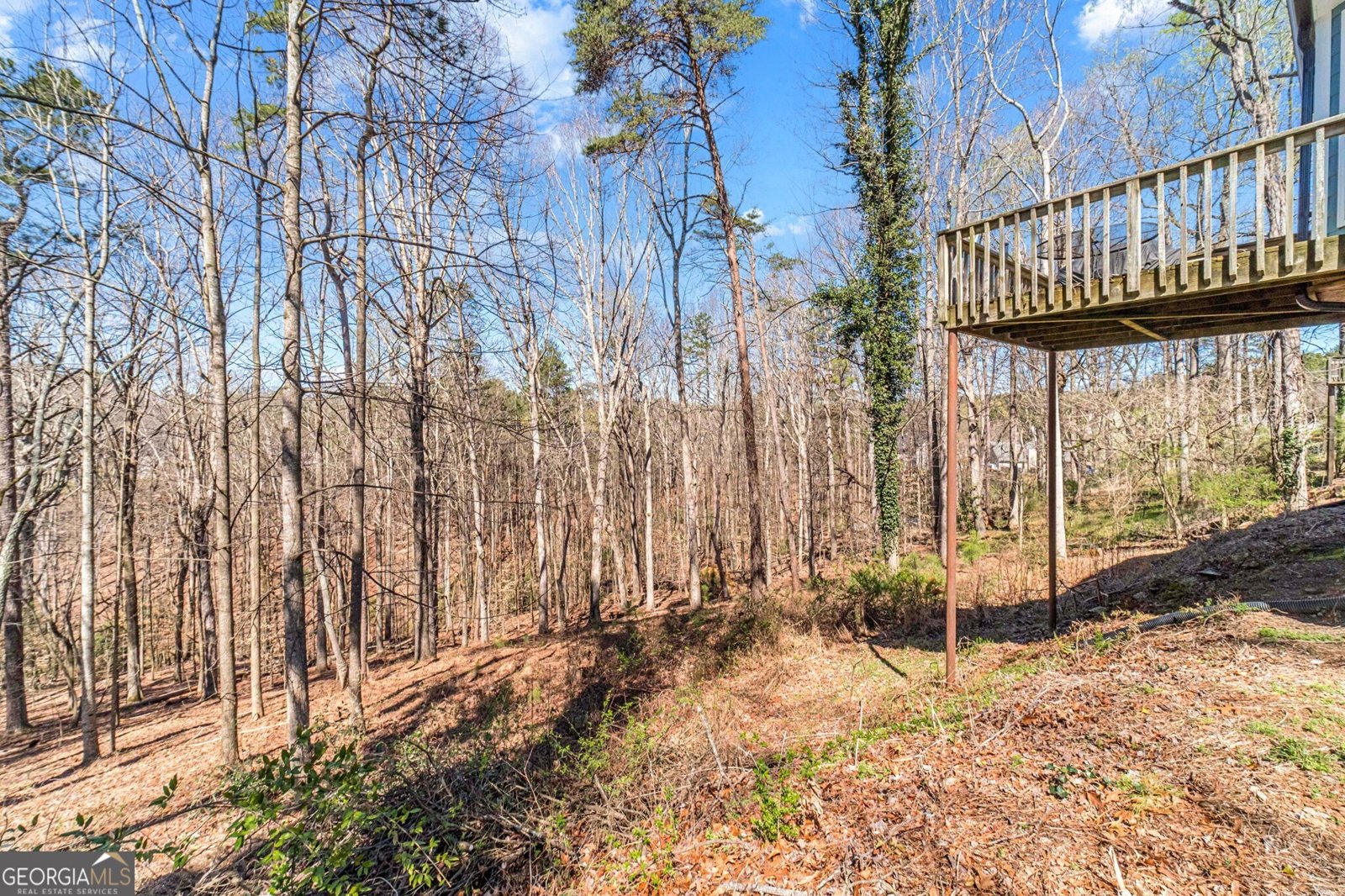 5550 Little Mill Road Buford - Photo 46