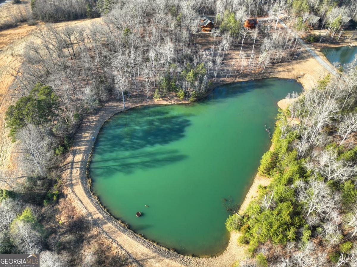 17 Dial Mountain Drive Blue Ridge - Photo 20