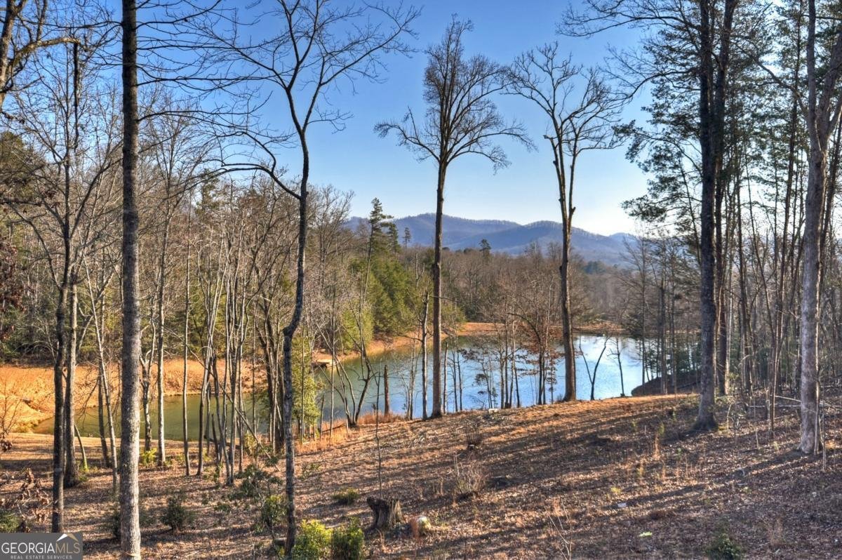 17 Dial Mountain Drive Blue Ridge - Photo 27