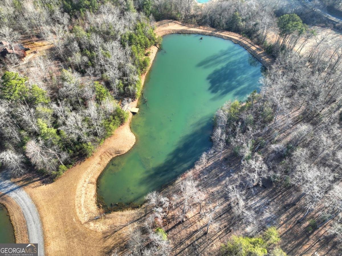 17 Dial Mountain Drive Blue Ridge - Photo 29