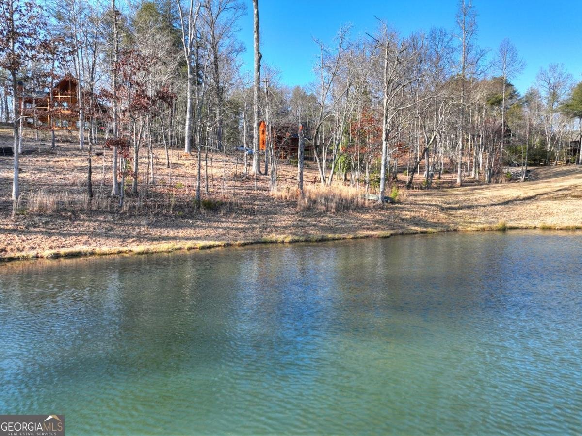 17 Dial Mountain Drive Blue Ridge - Photo 58