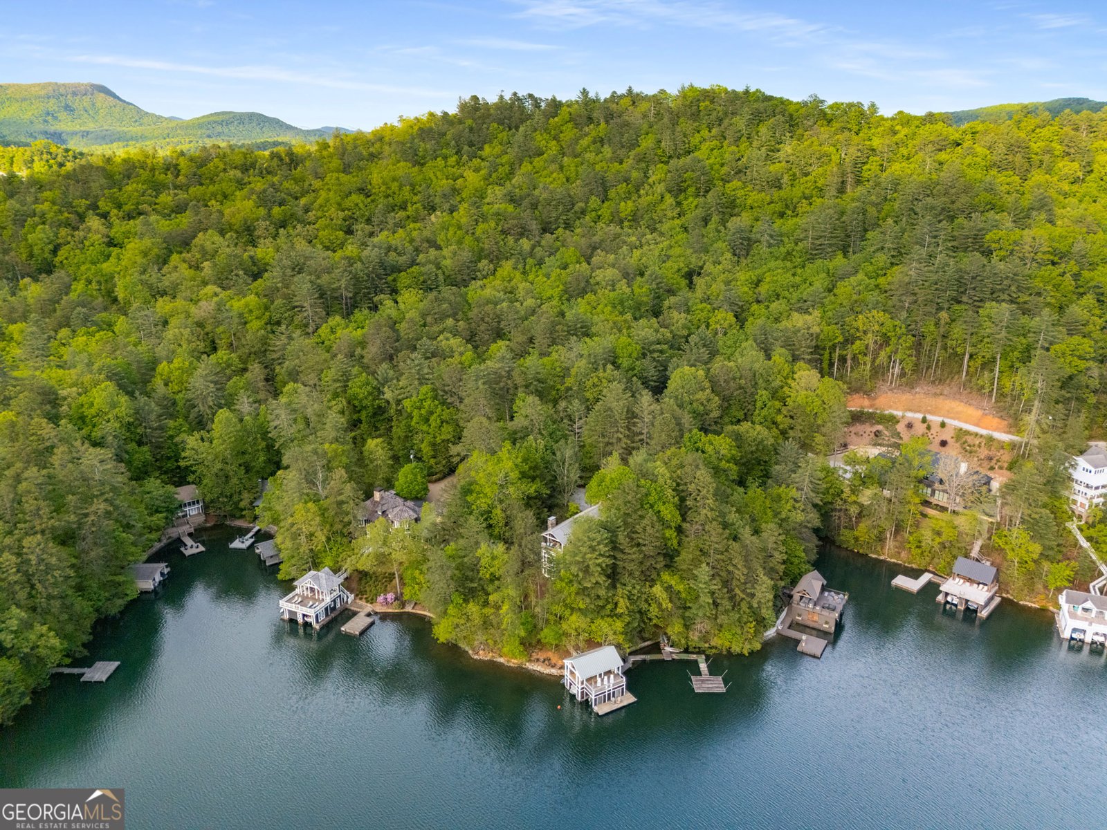 1006 Perrin Cove Road Tiger - Photo 85