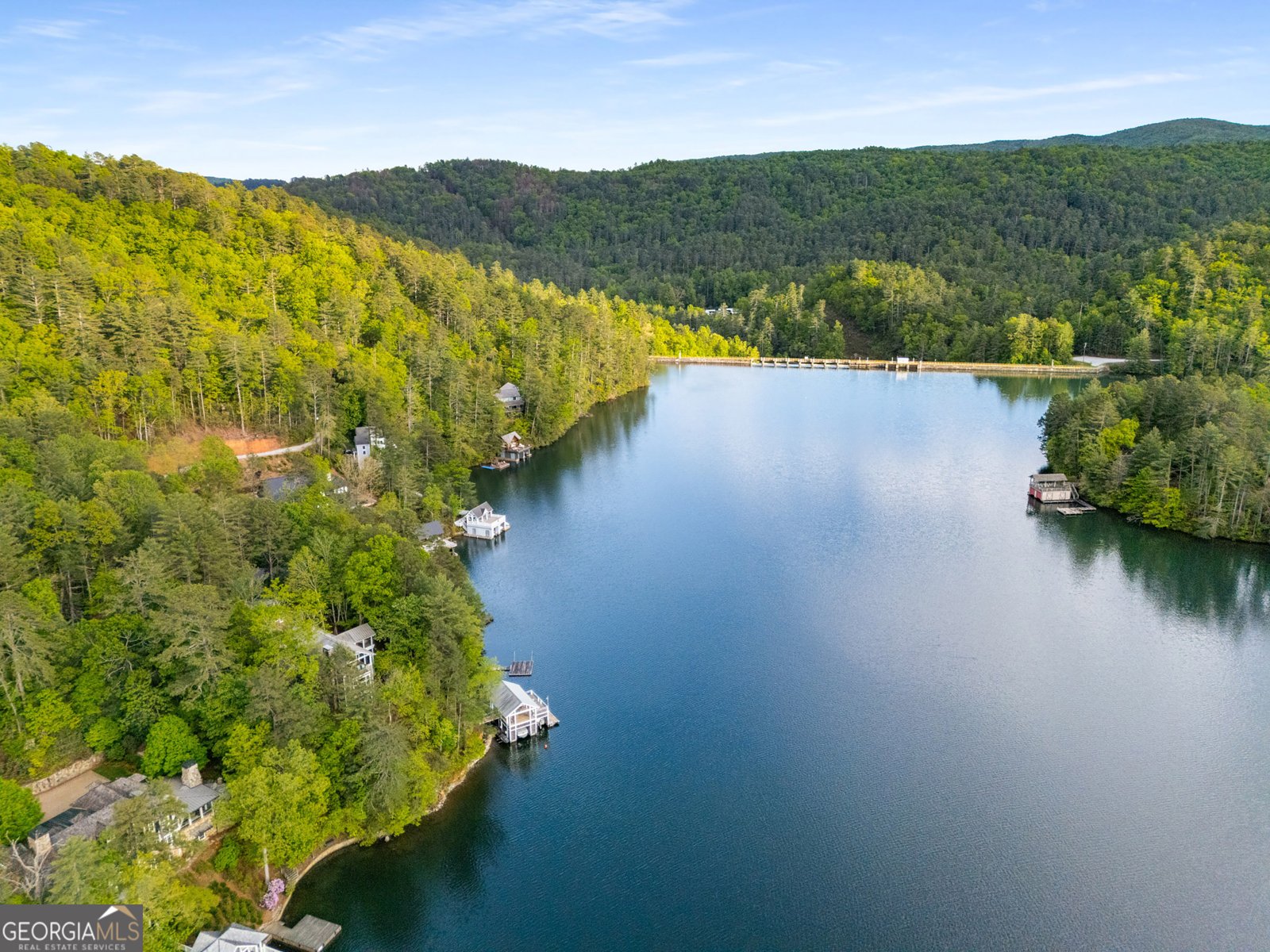 1006 Perrin Cove Road Tiger - Photo 86