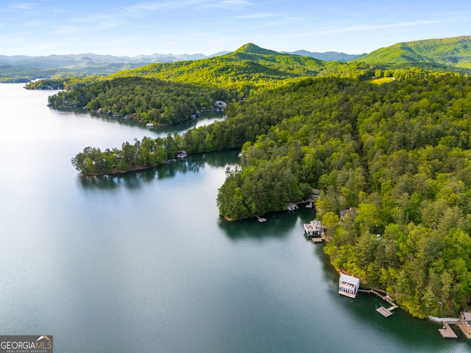 1006 Perrin Cove Road Tiger - Photo 87