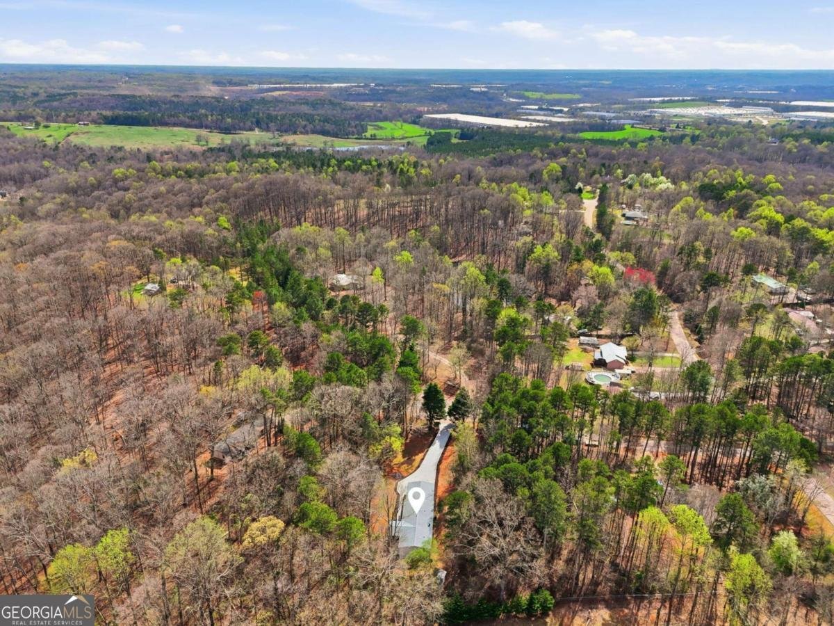 67 Forest Lake Circle Road Pendergrass - Photo 40