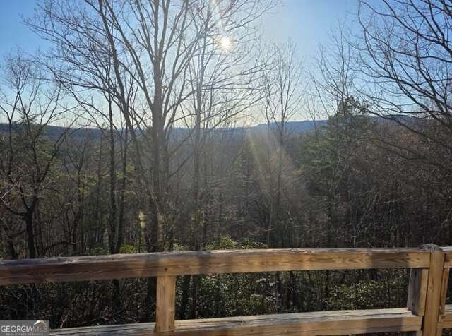 100 Hidden Hollow Lane Dahlonega - Photo 11