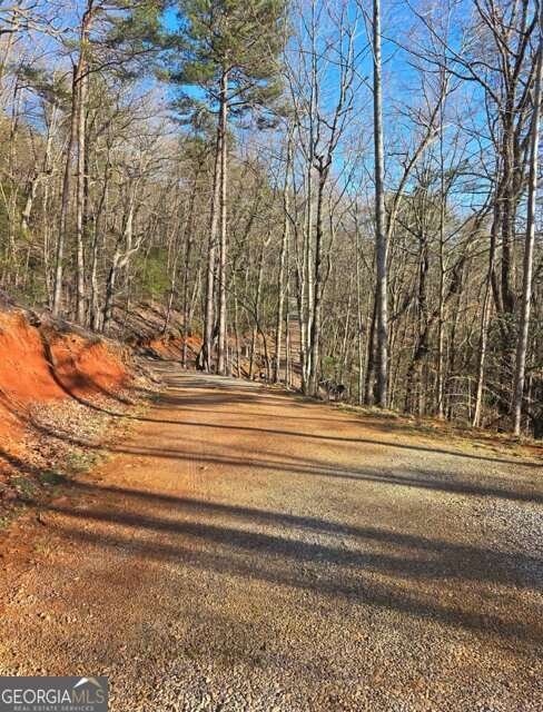 100 Hidden Hollow Lane Dahlonega - Photo 34