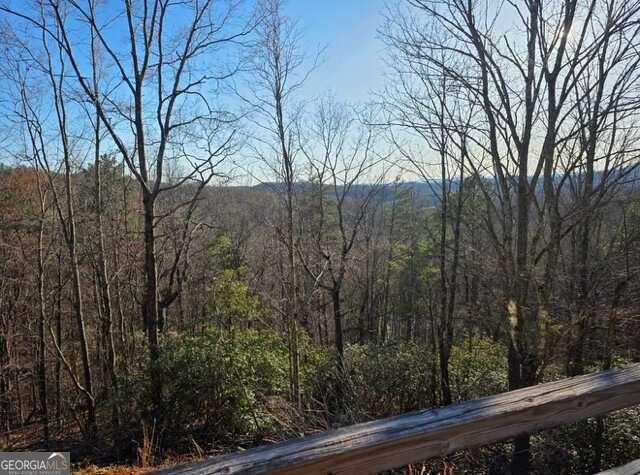 100 Hidden Hollow Lane Dahlonega - Photo 9