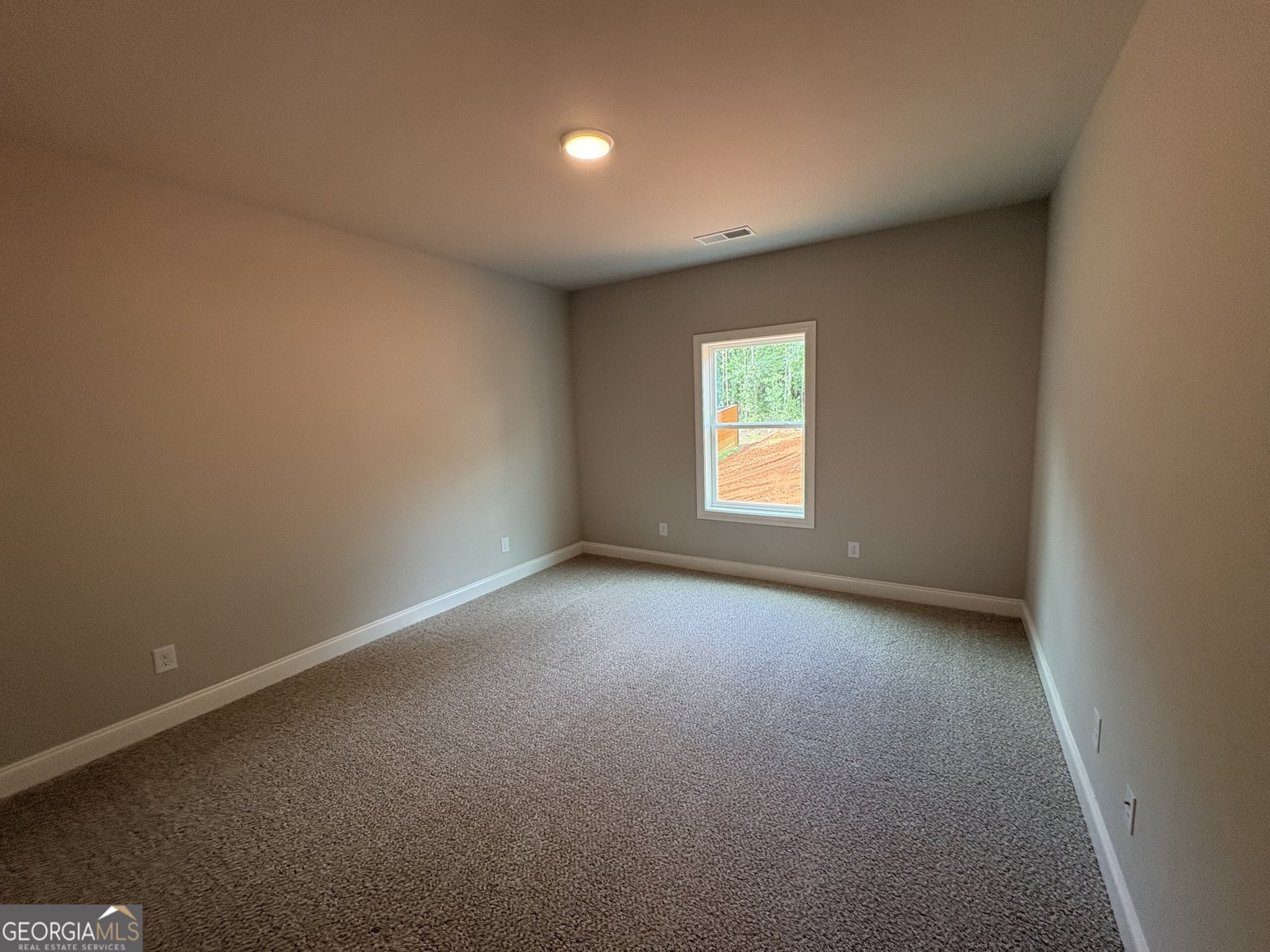917 Stallings Road Senoia - Photo 16